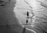TMax40020161229