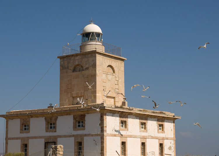The Tabarca lighthouse is mainly for the birds