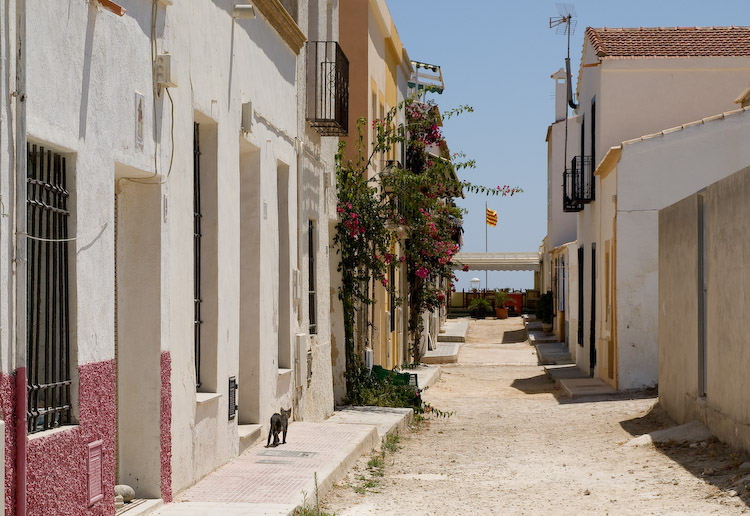 Not much traffic on Tabarca--there are no cars, no paved roads