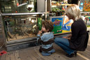 A boy looks at the portable pet shop on the Rambla