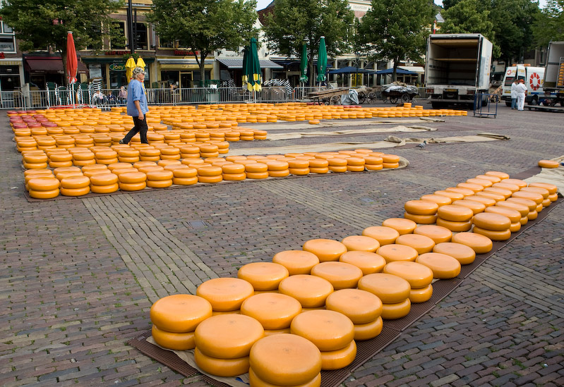 The cheeses are laid out on Waagplein where a cheese market has been held since the Middle Ages