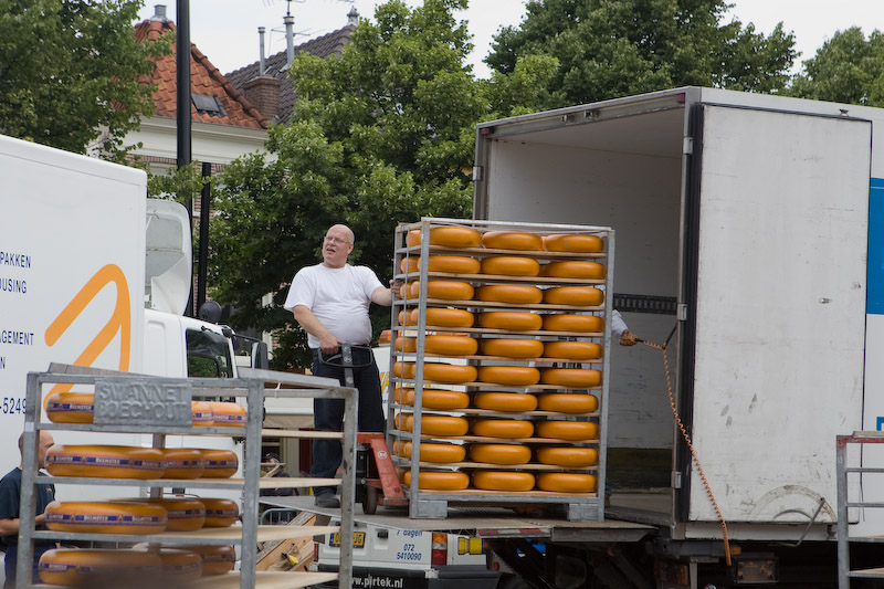 The cheeses are brought to the market by truck and laid out in neat rows