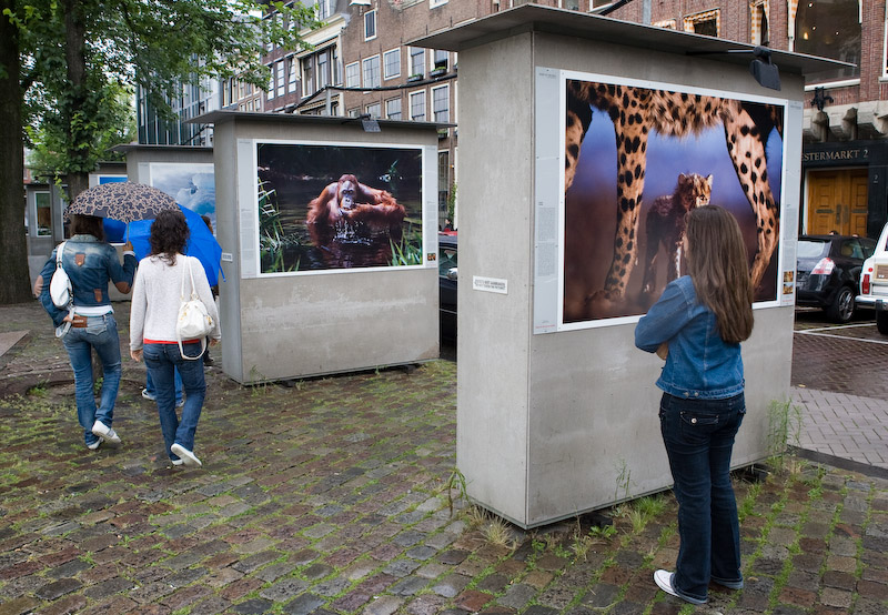Steve Bloom's images are truly magnificent, rain or shine