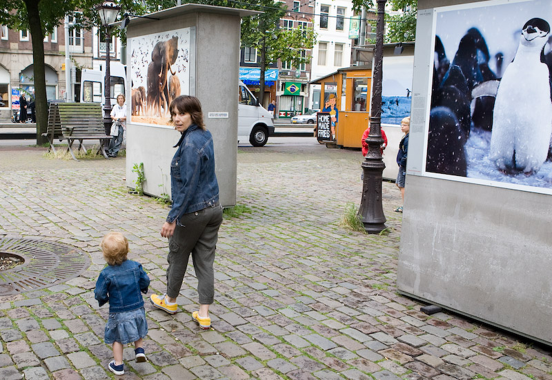 We noticed many parents taking their children to see the pictures