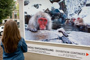Also in Westerpark, there is an outdoor exhibition of Steve Bloom's magnificent wildlife pictures
