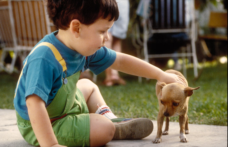 Puerto Rico, 1992